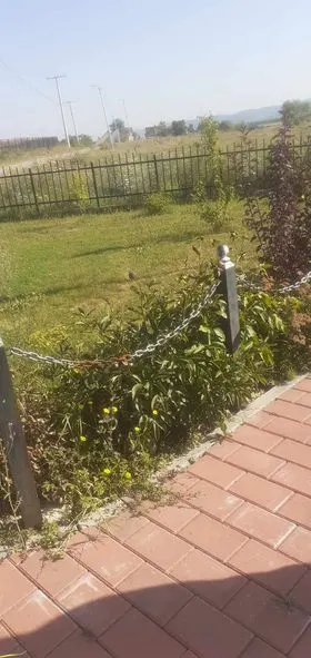 Kositja e barit ,pastrimi  në hapësirën e gjelbërt në fshatin Softaj tek Lapidari "Fatmir Kërçeli". 🍀
