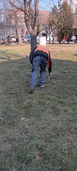 Skedari shtesë