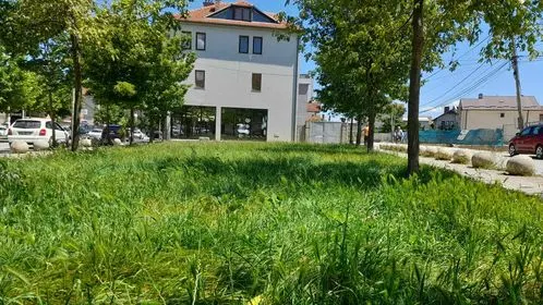 Kositja e barit dhe pastrimi i parkut në rrugën "Vëllezërit Gërvalla". 🍀