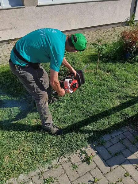 22 PRILL DITA NDËRKOMBËTARE E TOKËS🌍