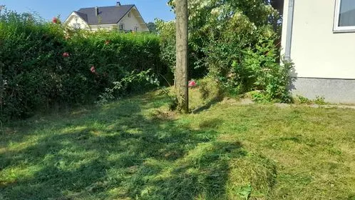 Mirëmbajtja e hapësirave të gjelbërta , kositja dhe pastrimi i barit teK  "Zyra e Gjendjes Civile"në fshatin Gaçkë. 🍀
