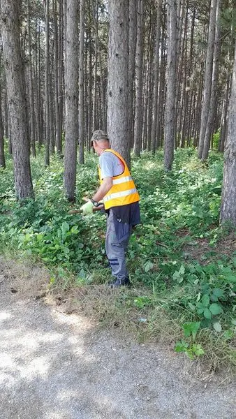 Pastrimi i parkut ,kositja e barit dhe mbledhja e mbeturinave te "Parku Liria". 🌲🍀