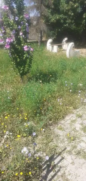 Mirëmbajtja e hapësirës së gjelbërt ,kositja e barit dhe pastrimi tek Lapidari "Muhamet Kabashi dhe Rexhep Demiri"në fshatin Talinoc i Muhaxherve. 🍀