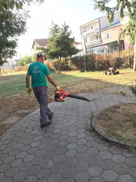 Skedari shtesë