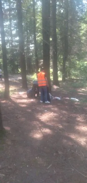 Pastrimi i mbeturinave te parku i pishave në fshatin Rahovic. 🌲
