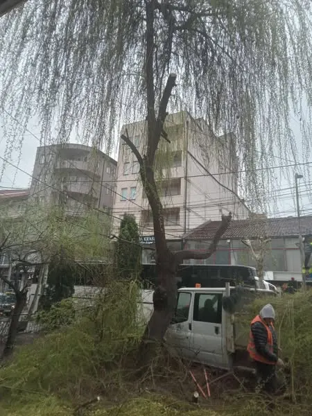 Skedari shtesë