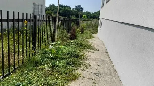 Pastrimi ,kositja e barit dhe mirëmbajtja e hapësirës së gjelbërt tek "Qendra e Mjekësisë Familjare 8" në fshatin Dardani. 🍀