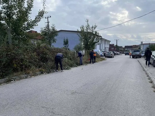 Punonjësit e NPL "Ambienti" kanë përfunduar aksionin për lirimin e trotuarit nga barishtet gjëmbore dhe barishteve tjera, përskaj Ndërmarrjeve Publike "Pastërtia" dhe  "Bifurkacioni".