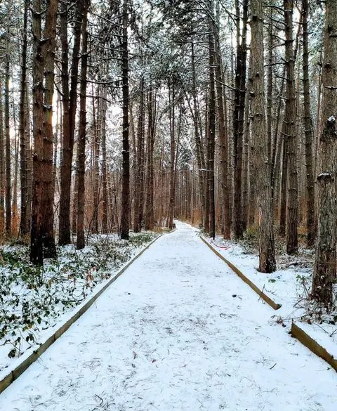 Bora e parë në Ferizaj!❄️