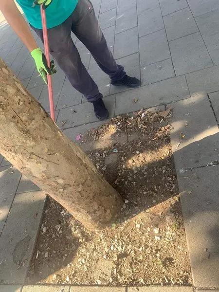 Në këtë dinamikë të jetës, nevojën më të madhe e kemi për natyrë të pastër dhe të gjelbërt.