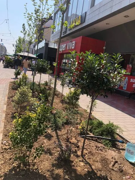 NPL "Ambienti" Ferizaj sot ka bërë mihjën e tokës nëpër miniparqet në qytet, mirëmbajtjen e drunjëve dekorativ, heqjen e barishtave të ndryshme dhe ujitjen e tyre në sheshin "Adem Jashari", dhe në sheshin "Tony Blair".