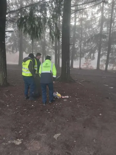 Mirëmbajtja e Parkut të Pishave në Rahovicë