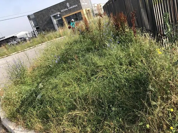 Tregu i Kafshëve në fshati Muhoc