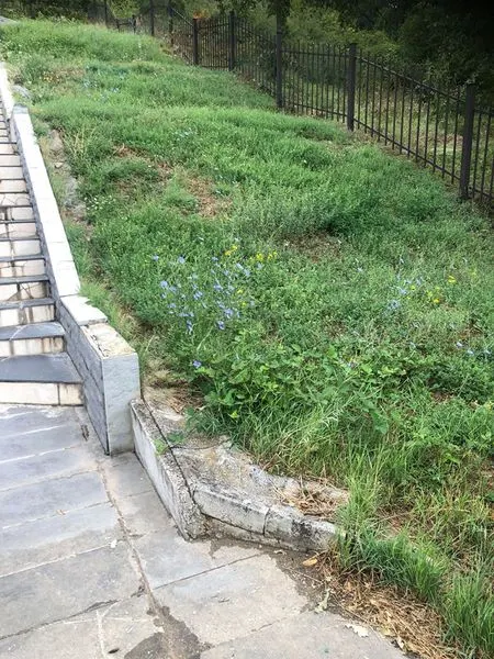 Mirëmbajtja e hapësirave të gjelbërta, kositja dhe pastrimi i barit tek "Lapidari i Dëshmorëve"