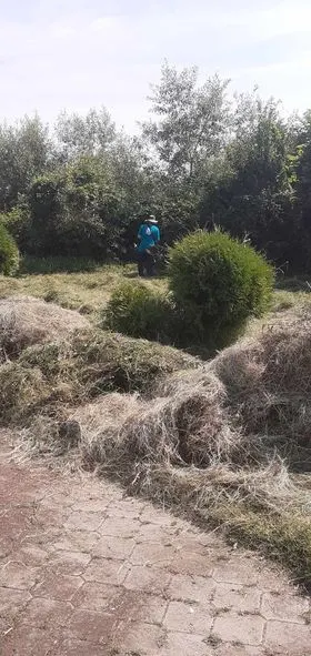 Mirëmbajtja e hapësirës së gjelbërt,kositja dhe pastrimi i barit tek "Ambulanta e Mjekësisë Familjare" në fashatin Varosh. 🍀