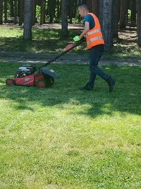 Mirëmbajtja e hapësirës së gjelbërt ,kositja dhe pastrimi i barit tek parku i pishave "Liria". 🍀