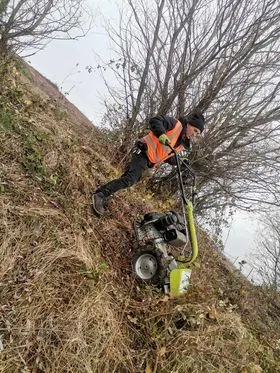 Pastrimi i hapësirave të gjelbërta tek Shkolla e Mesme e Ulët "Afrim Abazi"në lagjen Sherret ,Ferizaj.