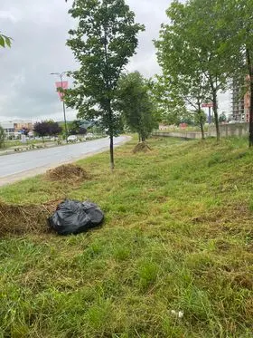 Kositja dhe pastrimi i hapësirës gjelbëruese në rr. "Brahim Ademi". 🍀