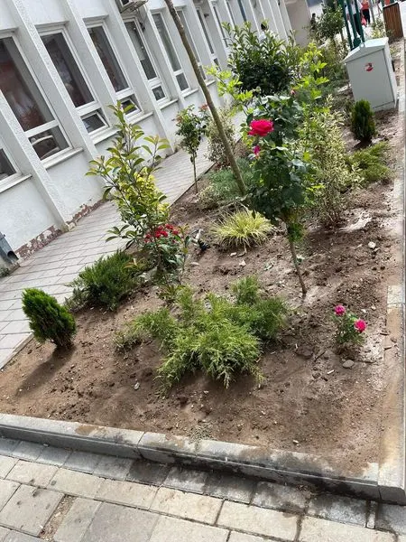 🚰💦Ujitja e hapësirave gjelbëruese dhe 🌳Drunjëve Dekorativ në Bulevardin "Dëshmorët e Kombit", dhe tek Sheshi "Tony Blair".