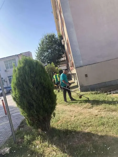 Ekipet e N.P.L "Ambienti" Sh.A kanë qenë aktive në disa lokacione, duke kontribuar për hapësira më të gjelbra dhe më të mirëmbajtura! 👷‍♂️👷‍♀️✨