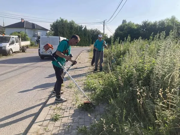 Skedari shtesë