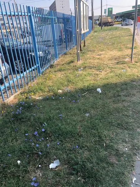 Punonjësit 👷‍♂️ e operativës të NPL "Ambienti" Ferizaj, ishin në mirëmbajtjen e hapësirës gjelbruese para Stacionit Policor në Ferizaj.