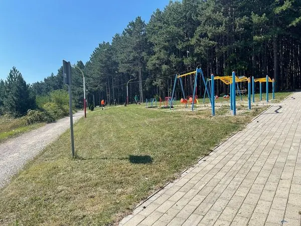 🌲🌲🌲Parku Liria🌲🌲🌲 Mirëmbajtja e Parkut Liria nga punonjësit e ndërmarrjes, tregon  qartë për përkushtimin tonë për të gjelbërtën.