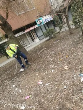 🏙️BANESAT KOLEKTIVE