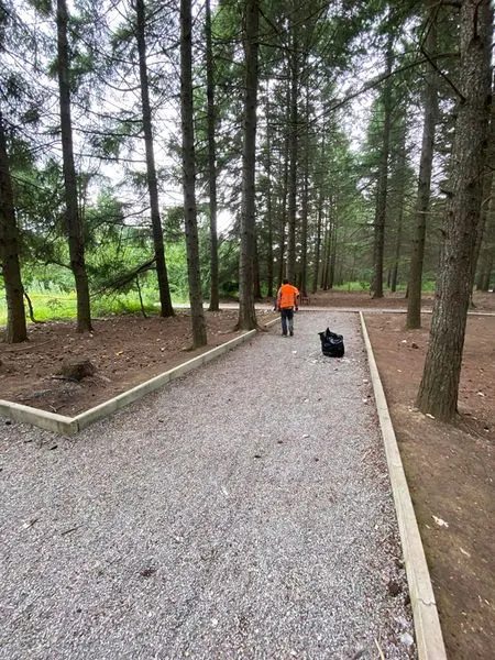 Pastrimi i mbeturinave në parkun e pishave në fsh.Rahovic. 🌲 E Diel /🍀