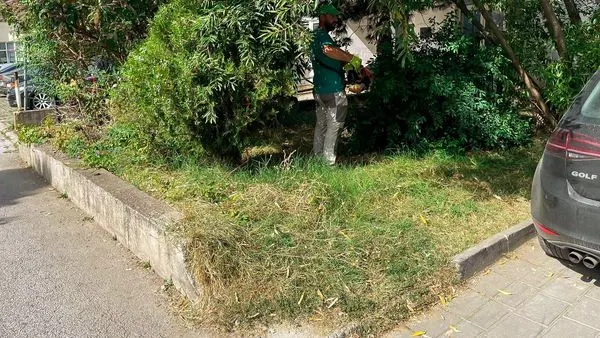 Qendra Kryesore e Mjekësisë Familjare.