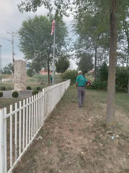 Skedari shtesë