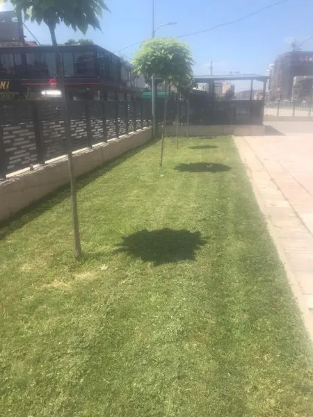 Mirëmbajtja e hapësirës së gjelbërt ,kositja dhe pastrimi i barit në sheshin "Adem Jashari". 🍀
