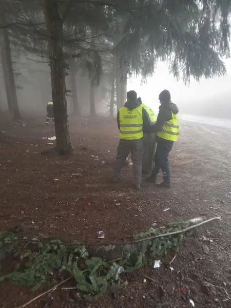 Mirëmbajtja e Parkut të Pishave në Rahovicë