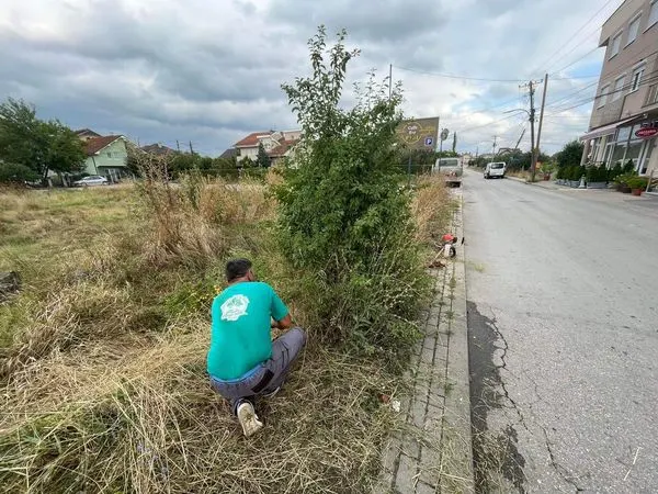 Mirëmbajtja, pastrimi i kubëzave dhe largimi i barishteve gjëmbore të cilat kishin bllokuar trotuarin në rrugën "Hasan Prishtina".