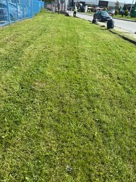 Kositja, pastrimi i barit në rr."Ahmet Kaçiku" dhe hapësirat e gjelbërta rreth Stacionit të Policisë. 🍀