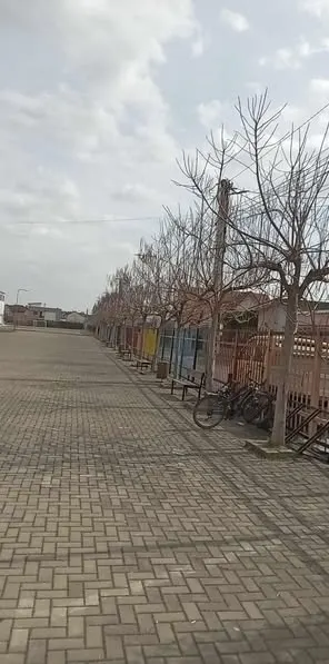 Krastitje dhe mirëmbajtje për një ambient më të bukur!