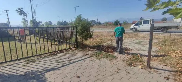✨ Punë në aksion!