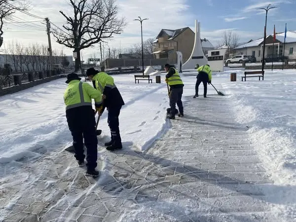 Pastrimi i borës tek lapidarët e dëshmorëve tonë