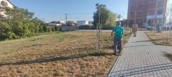 ✨ Punë në aksion!