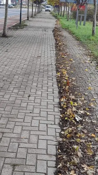 Pamje nga puna në teren!