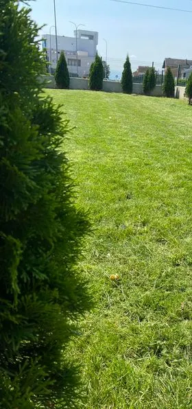 Kositja dhe pastrimi i hapësirës së gjelbërt te parku në rr. " Gursel dhe Bajram Sylejmani".