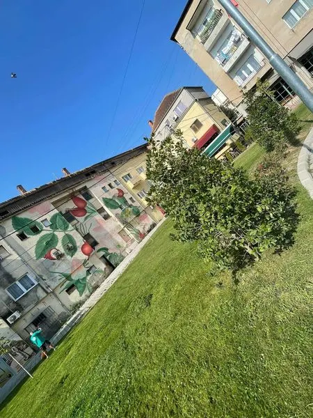 Mirëmbajtja e hapësirës së gjelbërt 🍀♻️🌱 kositja e barit, mbledhja e mbeturinave tek sheshi "Ramadan Rexhepi", gjithashtu është bërë edhe pastrimi i ujvarës⛲️ nga mbetjet e ndryshme.