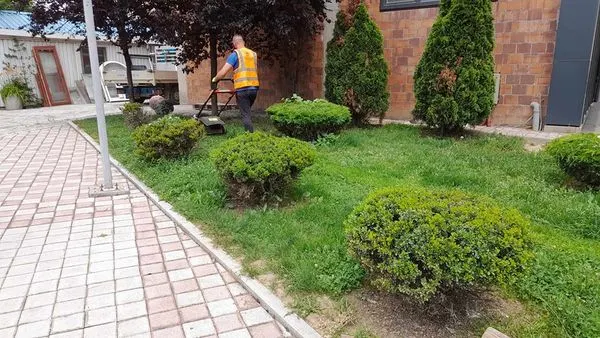 Kositja e barit ,mirëmbajtja e hapësirës së gjelbërt tek Lapidari "Agim Matoshi". 🍀