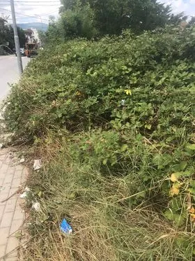 Mirëmbajtja, pastrimi i barit dhe barishteve gjëmbore të cilat kanë bllokuar trotuarin në rrugën "Astrit Bytyqi".