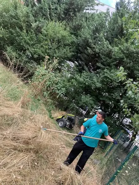 Skedari shtesë