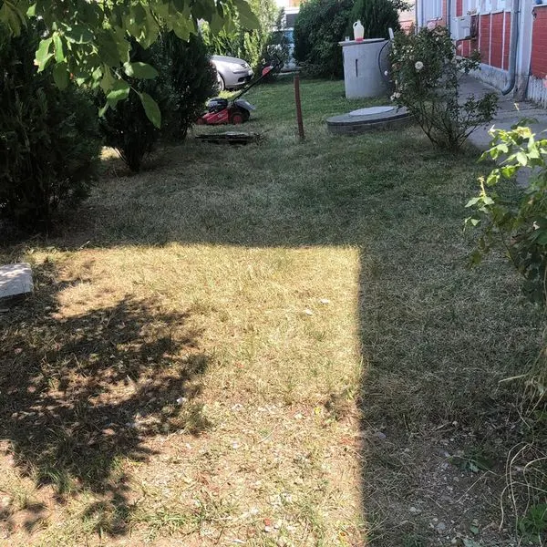 Mirëmbajtja, kositja dhe pastrimi i barit në hapësirën e gjelbërt tek "Qendra e Mjekësisë Familjare 1"(dispanzeri).