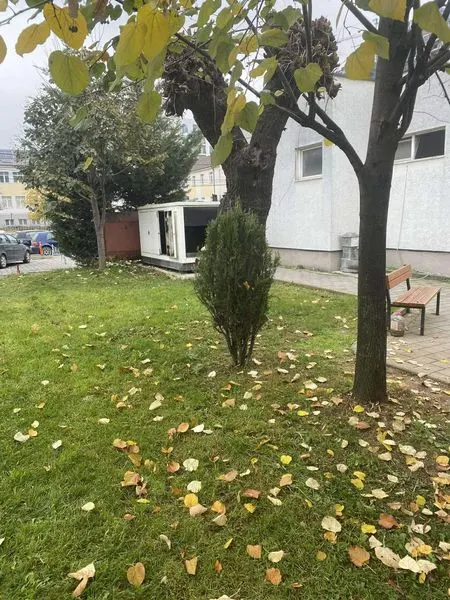 🌿✨ Pasqyra e gjelbërimit në qendrat mjekësore të qytetit!🌟
