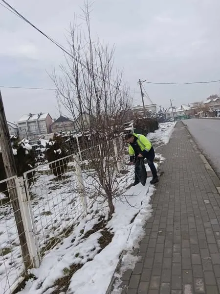 Skedari shtesë
