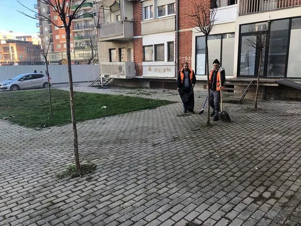 🏙️BANESAT KOLEKTIVE