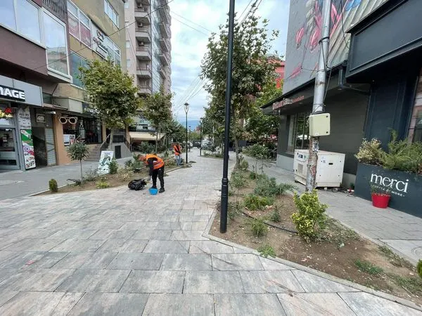 Me këto pamje të mirëmbajtjes të Drunjëve Dekorativ 👷🏻‍♂️🧤🍀🌳 nëpër mini parqet në Sheshin "Tony Blair" ju dëshirojmë një vikend të këndshëm.